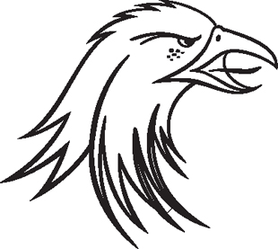 Eagle 10 decal
